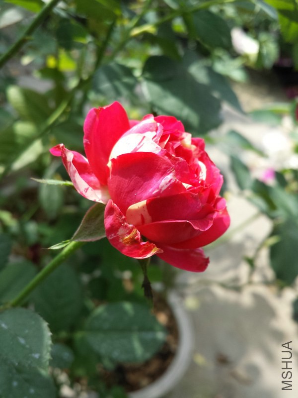 20140921_105327.jpg