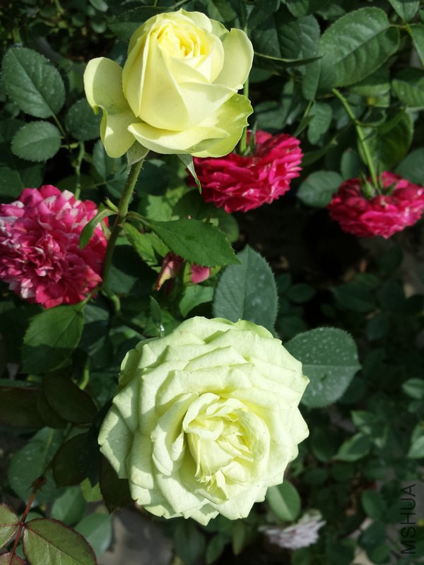 20140921_105352.jpg