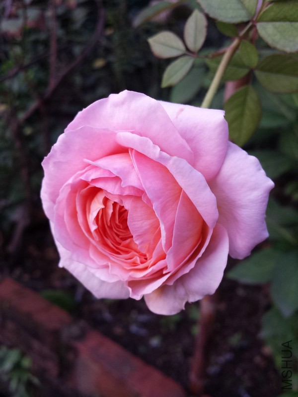 20140922_065959.jpg