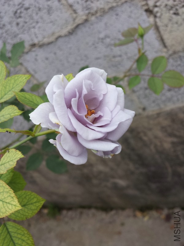20140925_075041.jpg