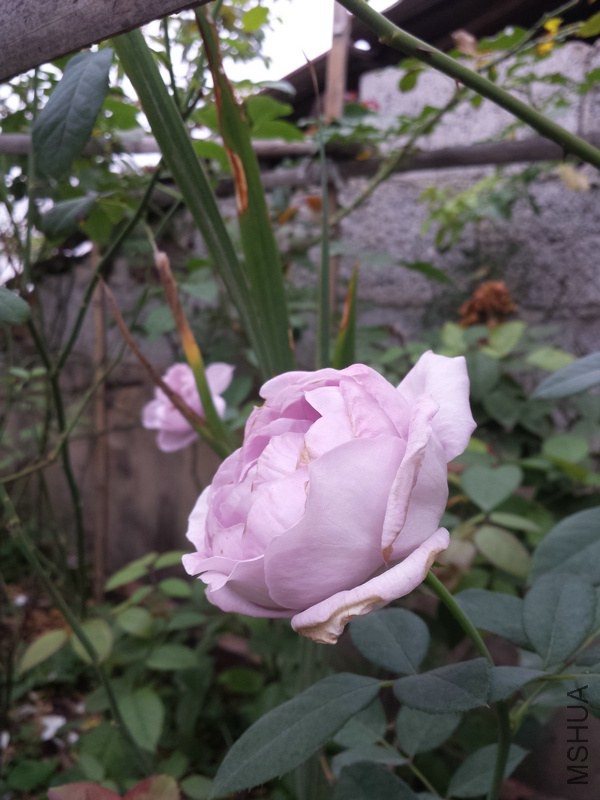 20140925_075158.jpg