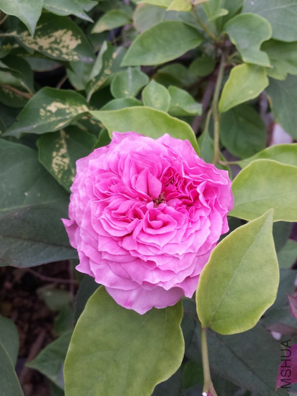 20140925_075257.jpg