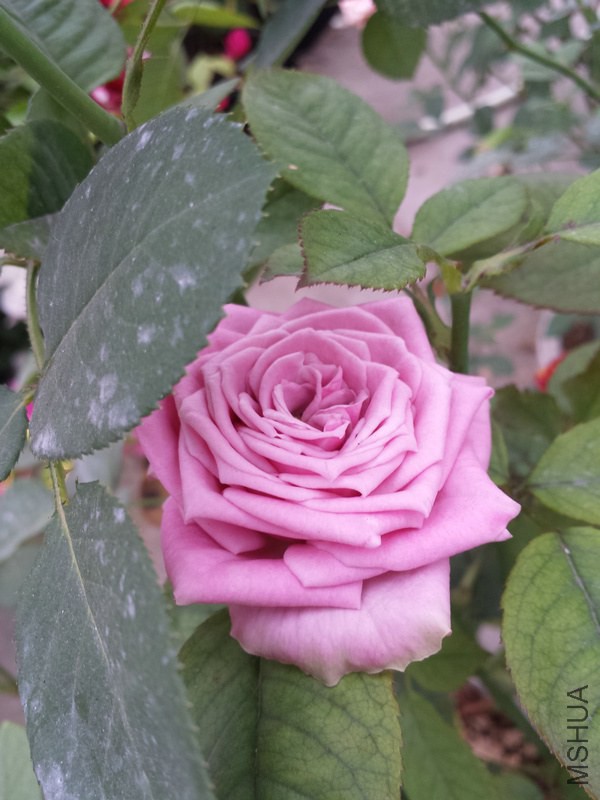 20140925_075411.jpg