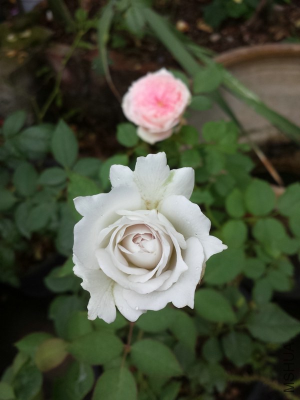 20141002_112518.jpg