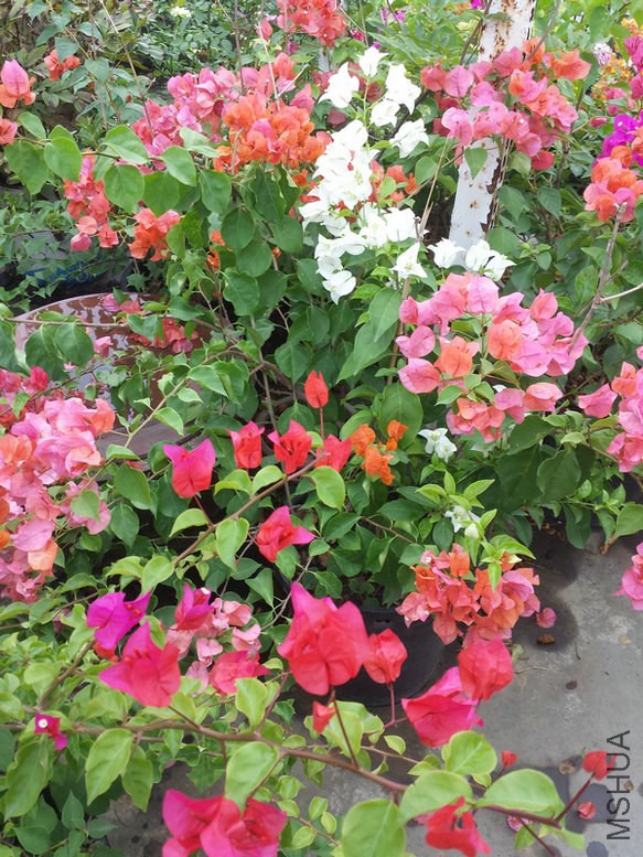 20141002_113222.jpg