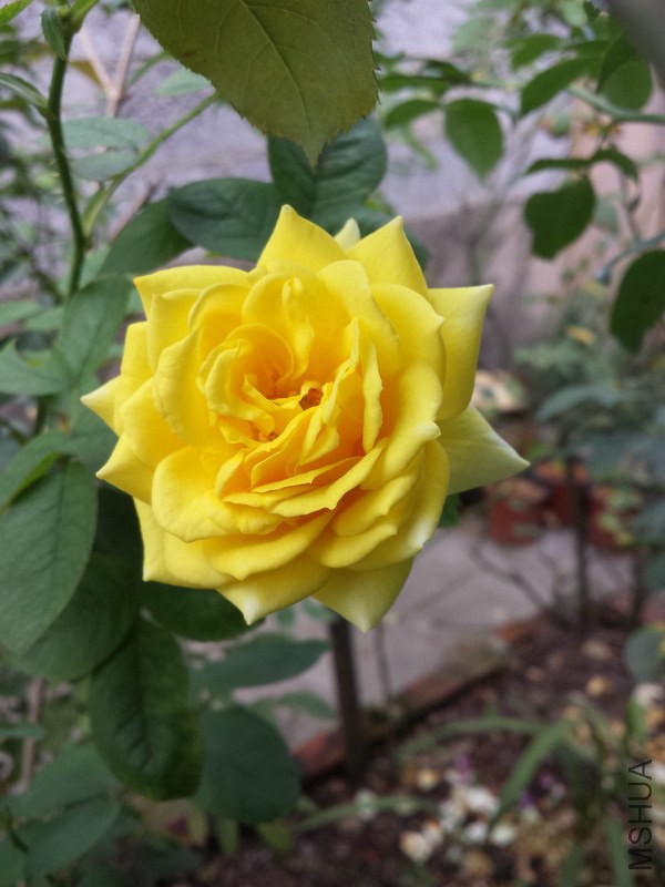 20141002_162801.jpg