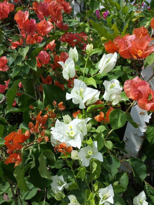 20140921_105011.jpg