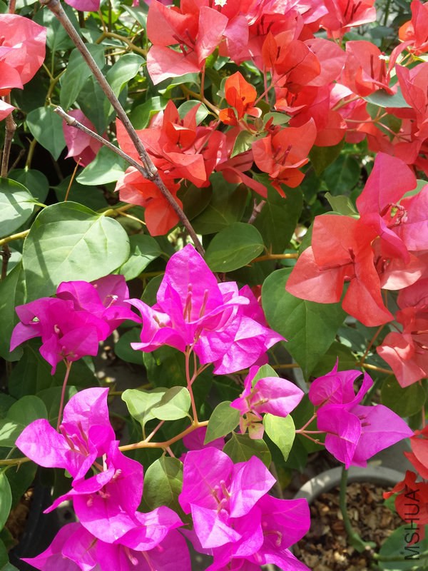 20140921_105022.jpg