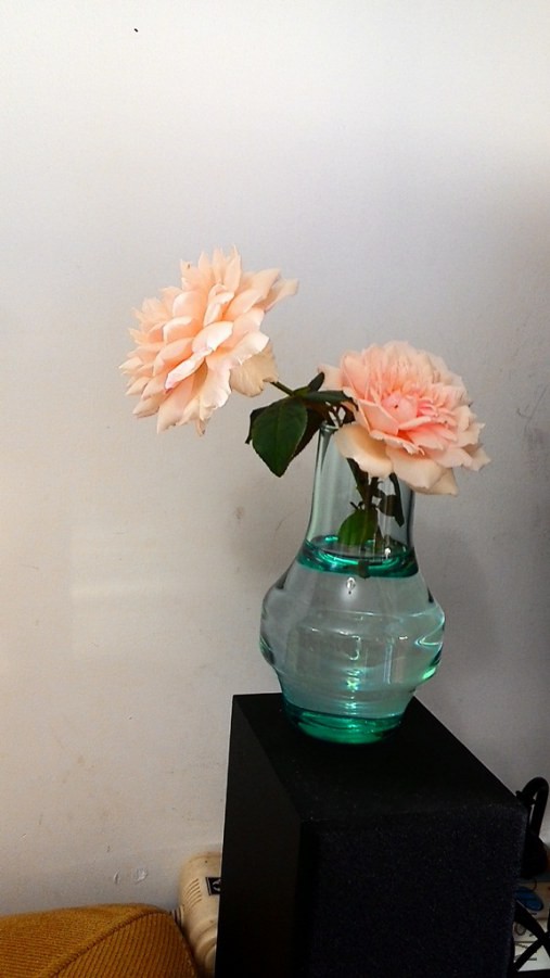 20141003155003.jpg