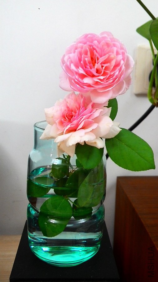 20141003155032.jpg