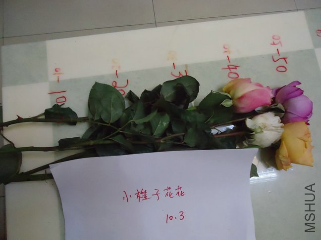 DSC02500.jpg