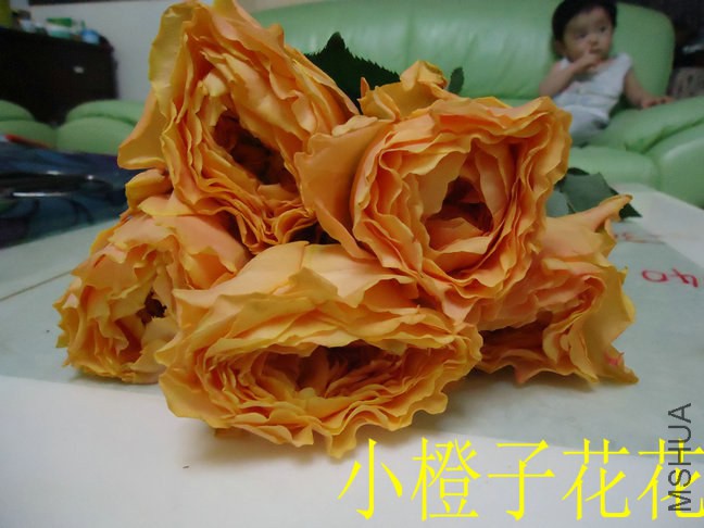 DSC02506.jpg