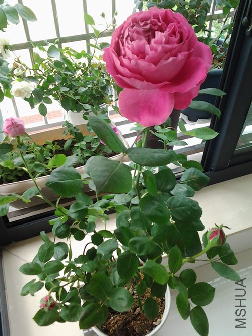 20140506_094222_����.jpg