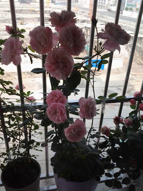 20140527_160121_����.jpg