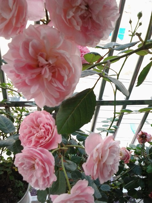 20140527_160210_����.jpg