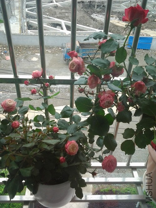 �ȿ˽��껨����������໨��ʱ��û���ģ�����ȥ����ı��ֲ���