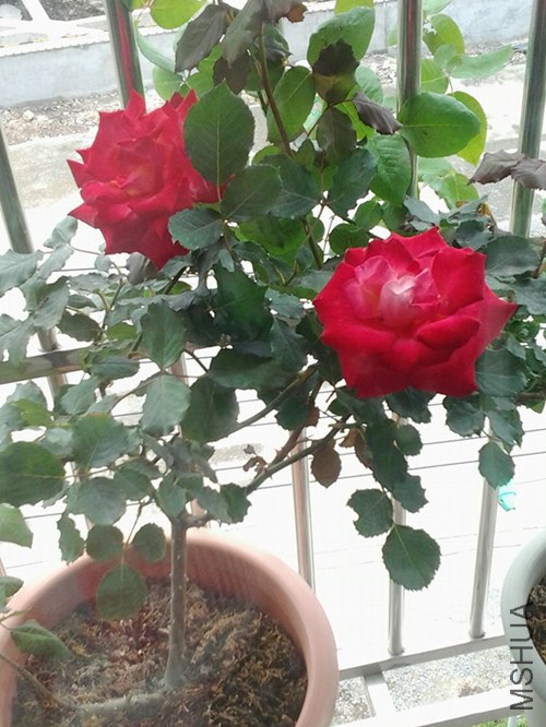 ���װ��ģ����󣬹���ǿʱ�������
