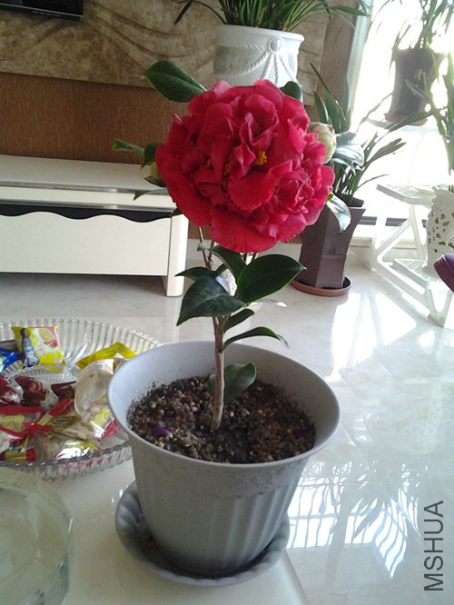 20140131_152844_����.jpg