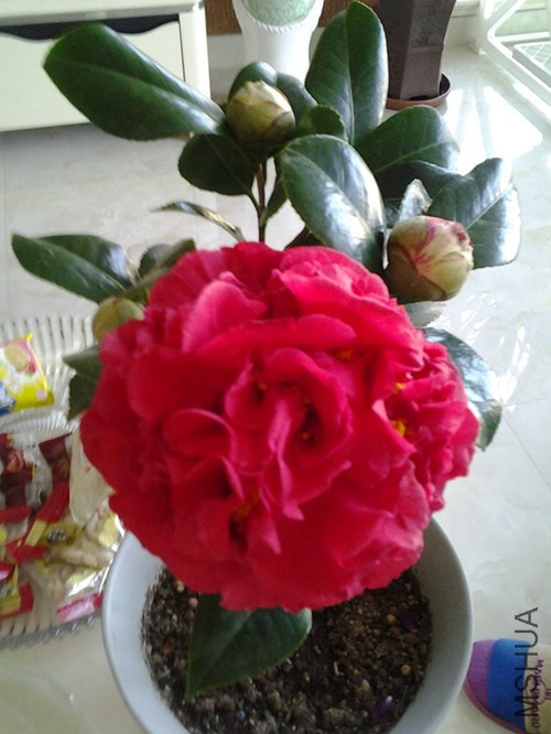 20140131_152906_����.jpg