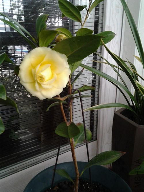 20140228_104533_����.jpg