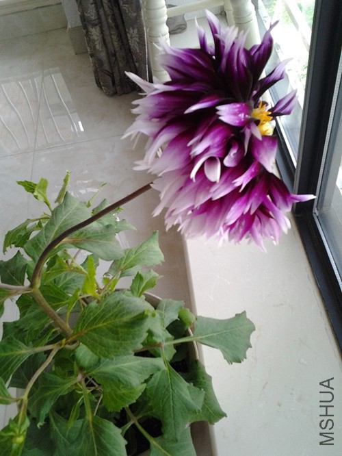 20140527_160004_����.jpg