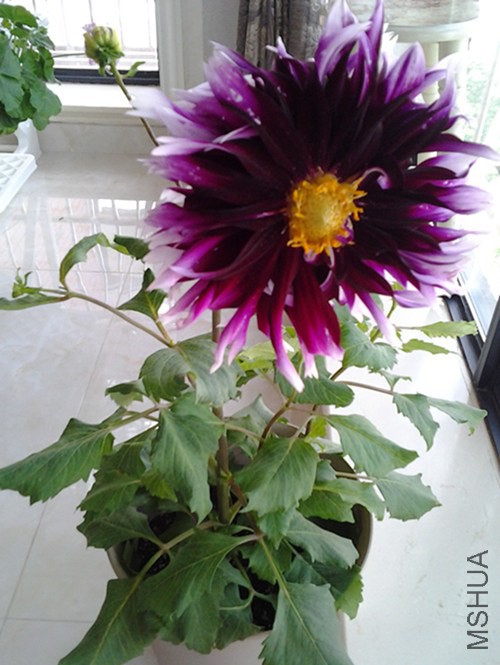 20140527_160048_����.jpg