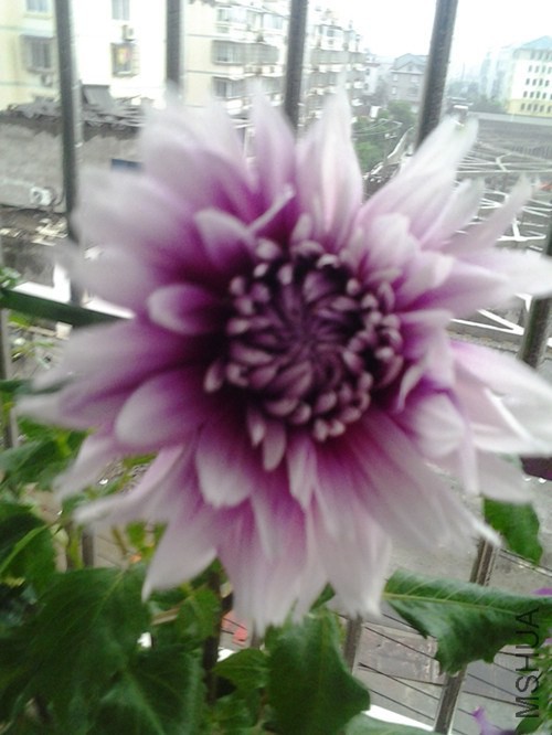 20140531_160718_����.jpg