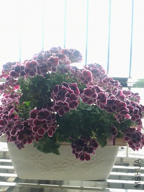 20140506_095654_����.jpg