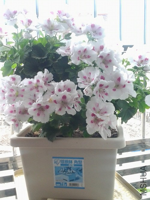 20140506_095639_����.jpg
