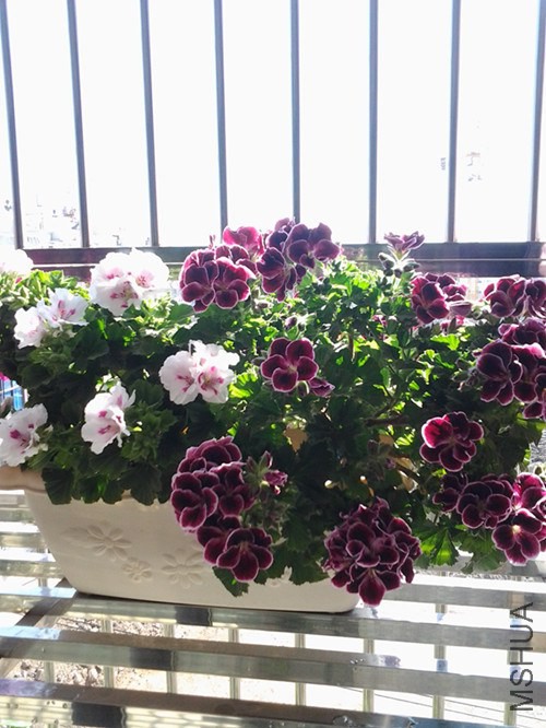 20140415_090320_����.jpg