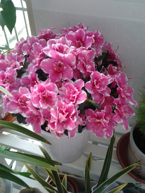 20140401_121757_����.jpg