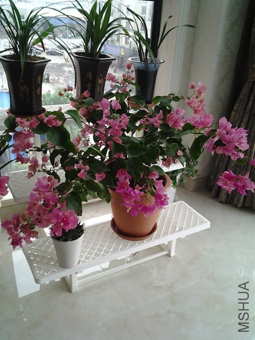 20130925_153332(1)_����.jpg