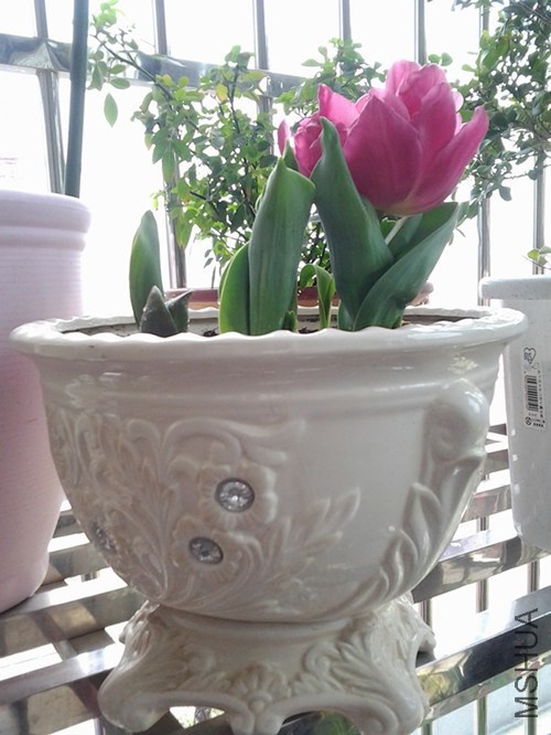20140228_103723_����.jpg