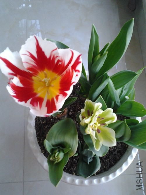 20140324_123534_����.jpg