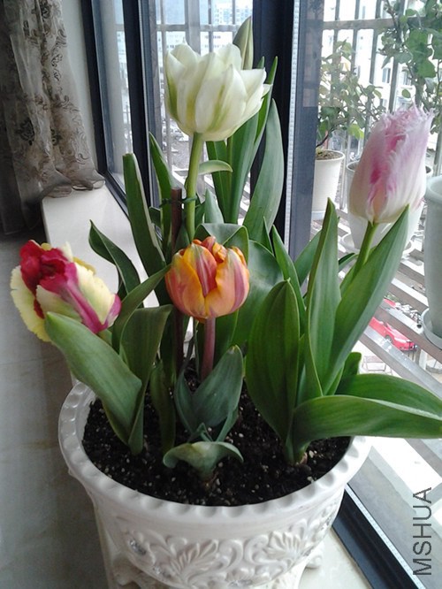 20140401_121329_����.jpg
