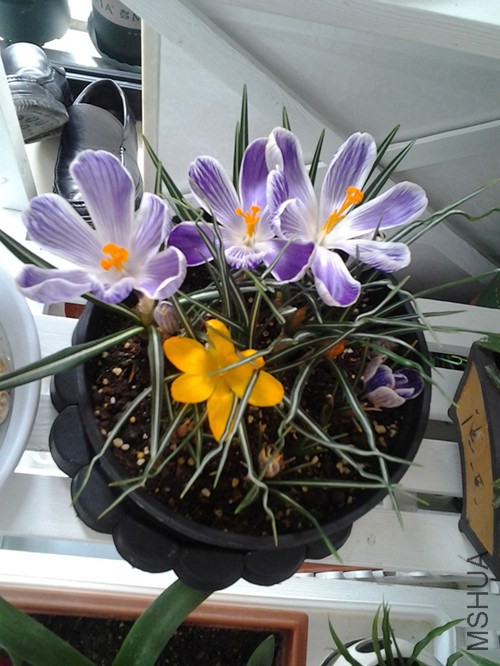 20140316_111432_����.jpg