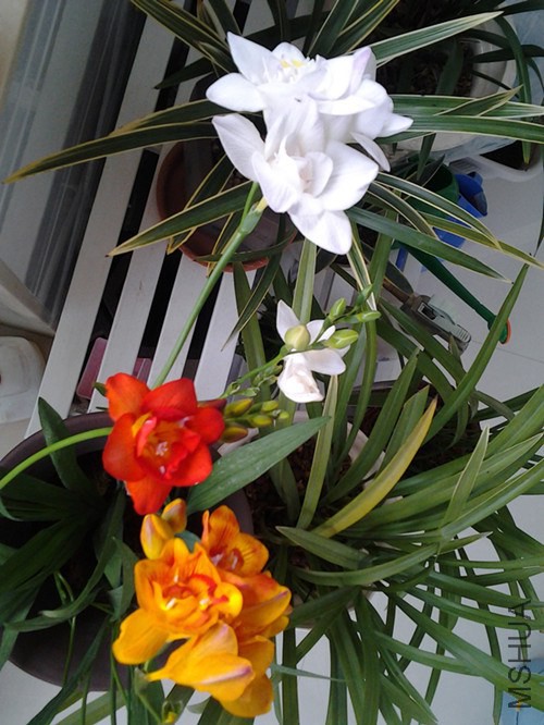 20140418_142146_����.jpg