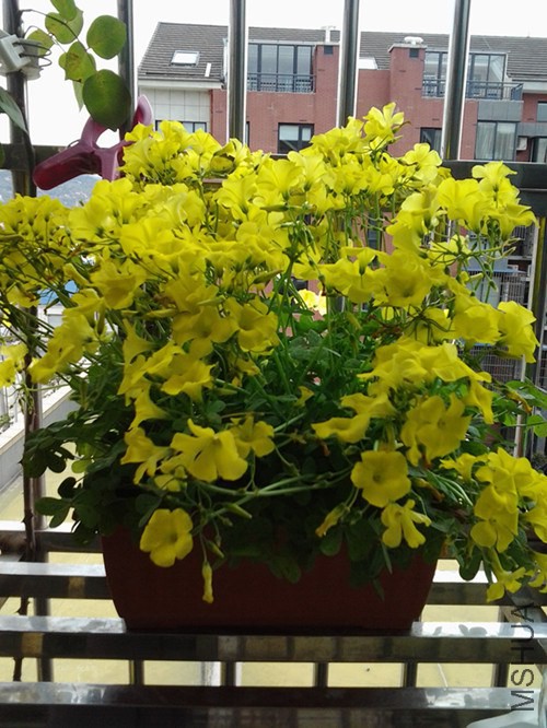20140324_130735_����.jpg