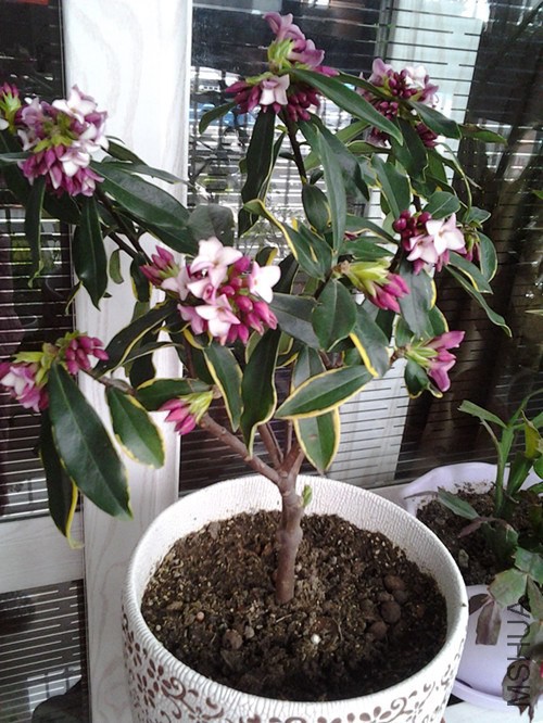 20140218_150201_����.jpg