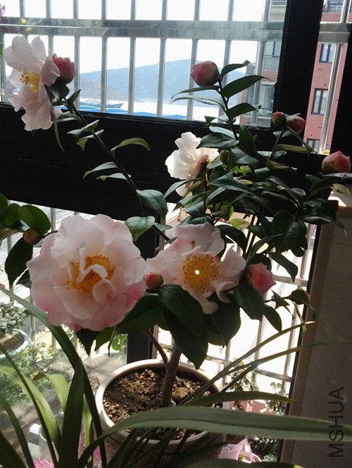 20140316_111533_����.jpg