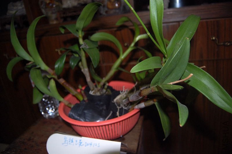 DSC_00760076.JPG