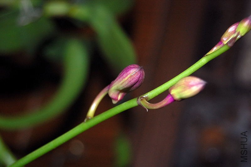 DSC_00750075.JPG