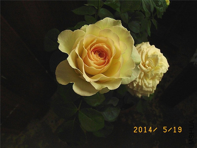 ����ѩɽA (4).JPG