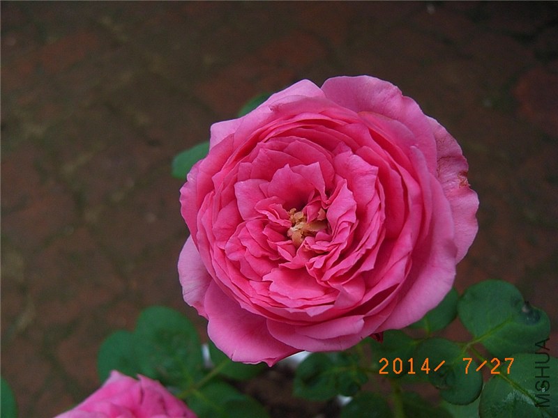 ˫�˰��� (3).JPG