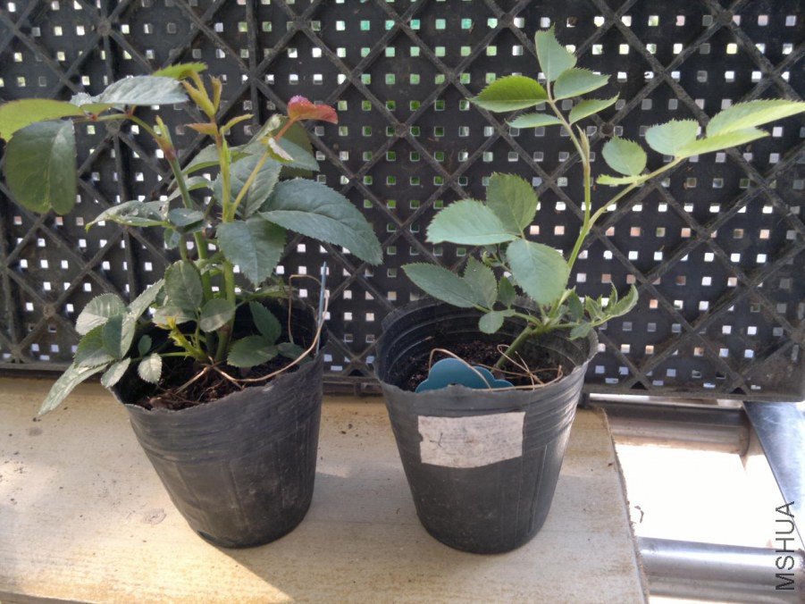 2014-10-04-1843.jpg