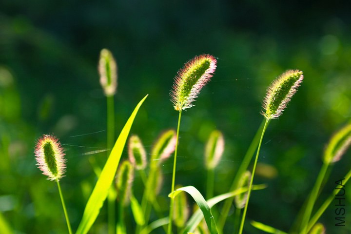 10903171_9404.jpg