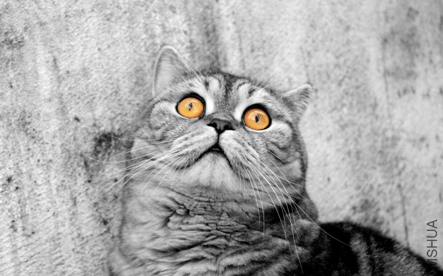 20120415152429_uWnce.jpeg