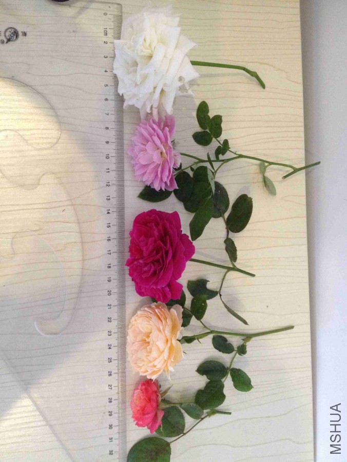 QQͼƬ20141005124033.jpg
