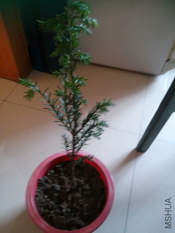 IMG20141003082824.jpg
