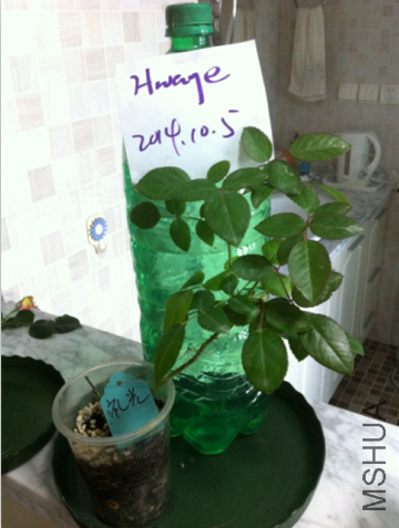 QQ��ͼ20141005154522.png